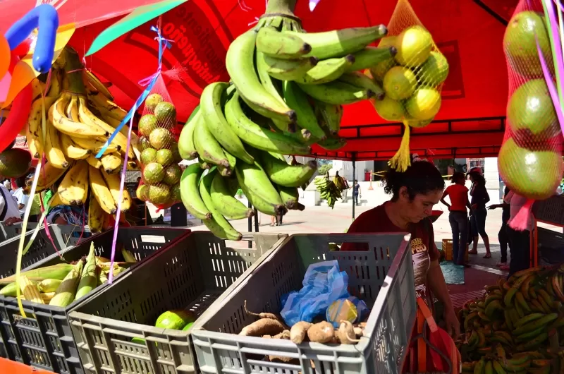 Sin intermediarios campesinos de Arauca venden sus productos en la plazoleta de la alcaldía municipal.